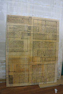 ̬������λľ����ͻҡ�(�ޤ����äƤ��ޤ�), 5827146051_6abcd43a2c_b.jpg